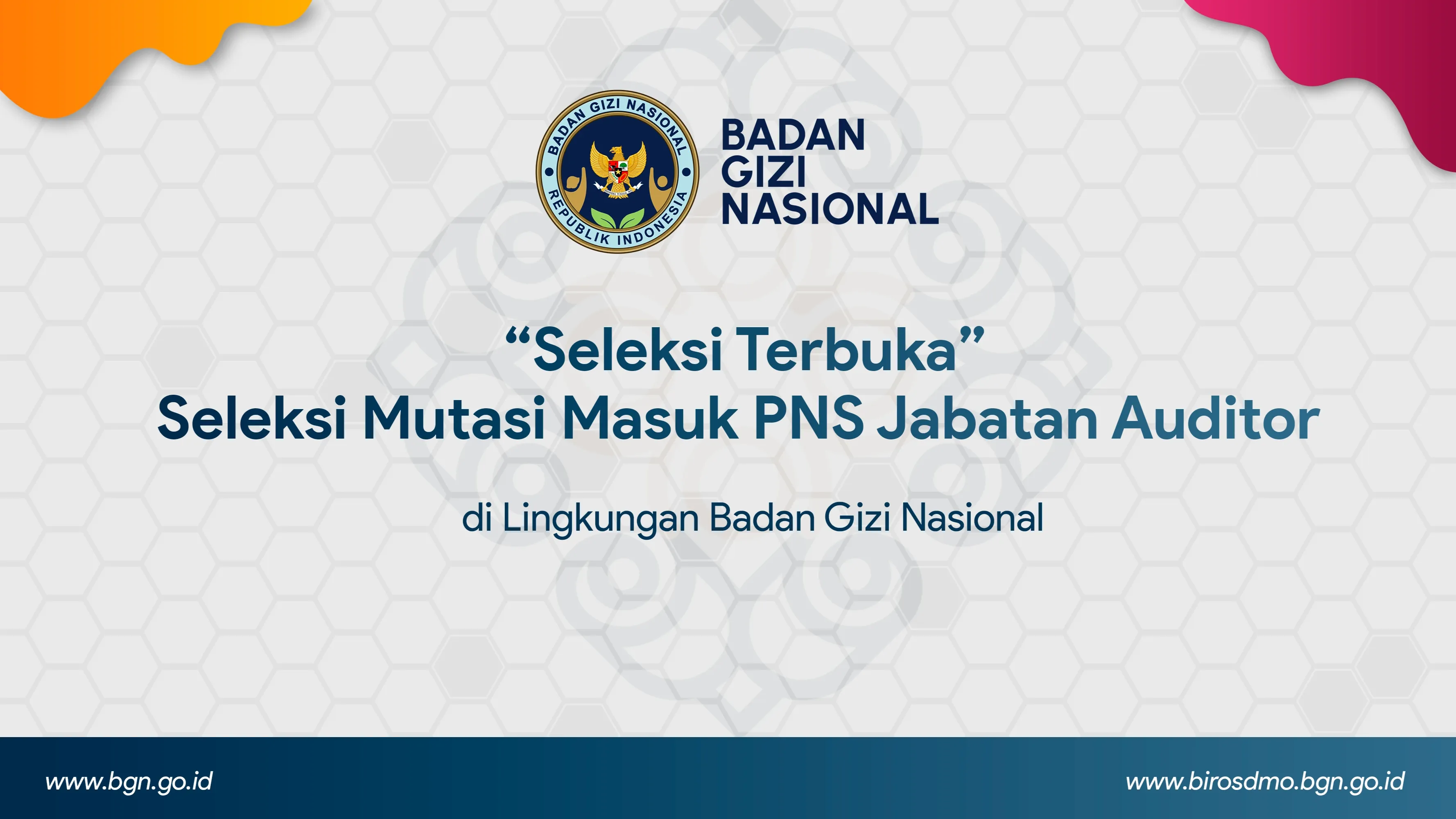 Seleksi Terbuka - Seleksi Mutasi Masuk PNS Jabatan Auditor di Lingkungan Badan Gizi Nasional Langsa